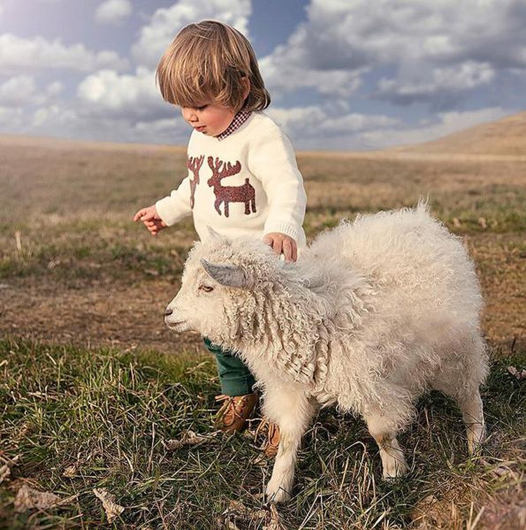 Aksi Bocah Bermain Dengan Hewan Ternak